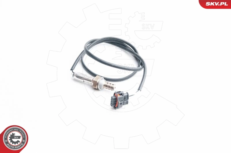 Oxygen Sensor